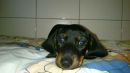 Aljoscha...immer diese Foto`s