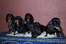 Familienfoto2