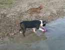 Freundin Wilma auch ganz mutig...