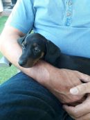 Hilde4