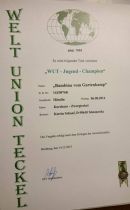 Bambina WUT - Jugend - Champion