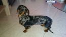 Bambina.....