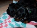 Mama Trudie mit Dirty Harry