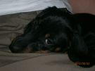 Trudie