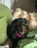 Trudie5