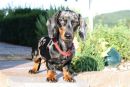 Trudie6