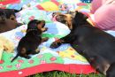 Edmund jr. und seine Tante Trudie...