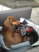 Elli u Trudie3