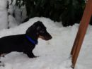 so viel Schnee...