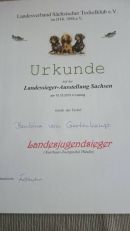 Landesjugendsieger 2015