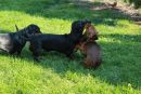 Lotte und Toechterchen