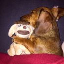 so eine Party ist anstrengend...