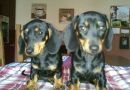 Aurora und Ayla