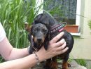 Don Al Capone und Tante Bambina