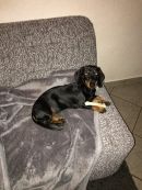 Greta2