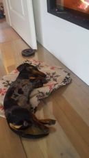 Otto9