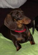 Prinzessin Elli