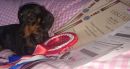 Bambina 4