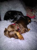 Elli u Trudie6