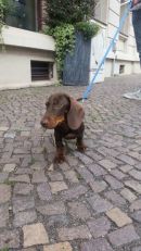 Gimli3