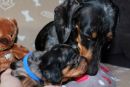 Mama und Sohn