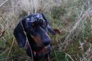 Trudie 2