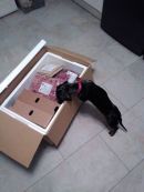 Trudie2