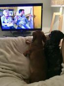 Bella u Charlie