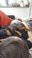 Otto6