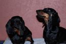 Diba und Mama Trudie