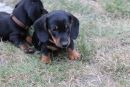 Enya und Edmund jr.