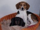 Tami und Apollo.jpg