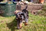Gartenarbeit ist wichtig...