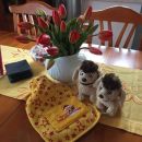 Geschenke gibts auch...