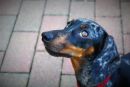 Trudie8