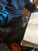 Balthasar