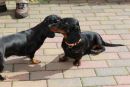 Eddy und Mama Lotte