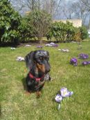 Trudie2
