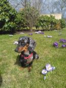 Trudie3