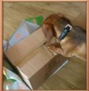 Canina packt aus...