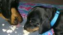 Mama und Sohn