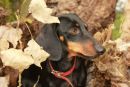 Trudie3