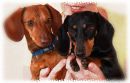 Carlo und Mama Lotte