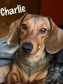 Charlie
