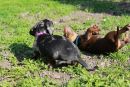Duplo kleiner Dreckspatz