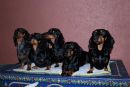 Familienfoto4