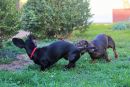 Hilde u Naomi (2)