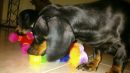 mit Mama spielen...