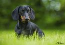 unsere Trudie
