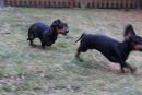 Bambina und Diba